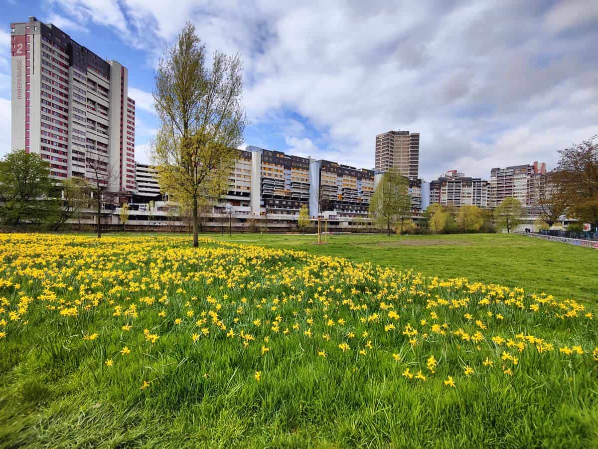 Lars Windhorst gefährdet die Existenz von hunderten Familien in Hannovers Ihmezentrum